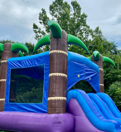 Dual Slide Tropical