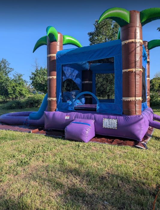 Dual Slide Tropical