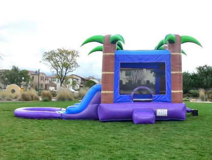 Dual Slide Tropical