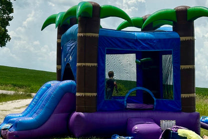 Dual Slide Tropical